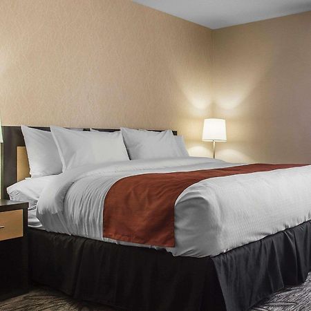 Quality Inn & Suites Kingston Exterior foto