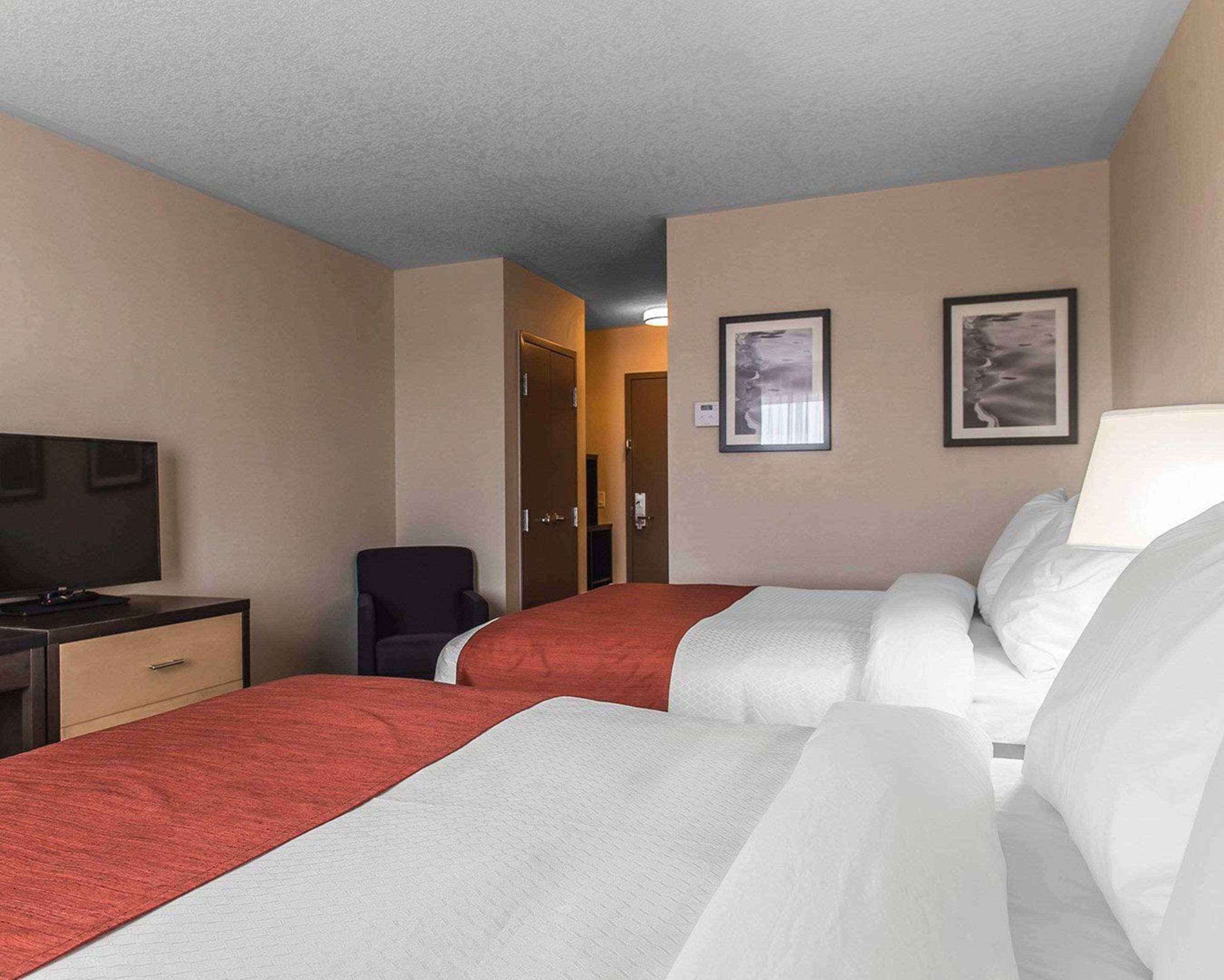 Quality Inn & Suites Kingston Exterior foto