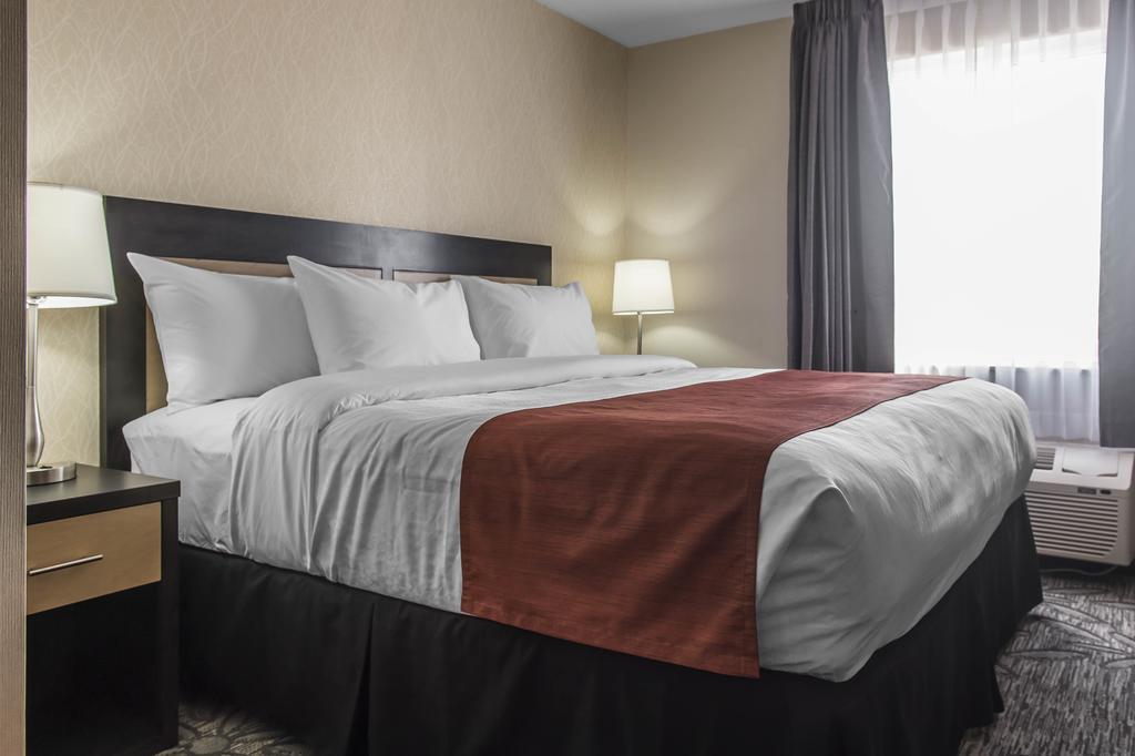 Quality Inn & Suites Kingston Exterior foto