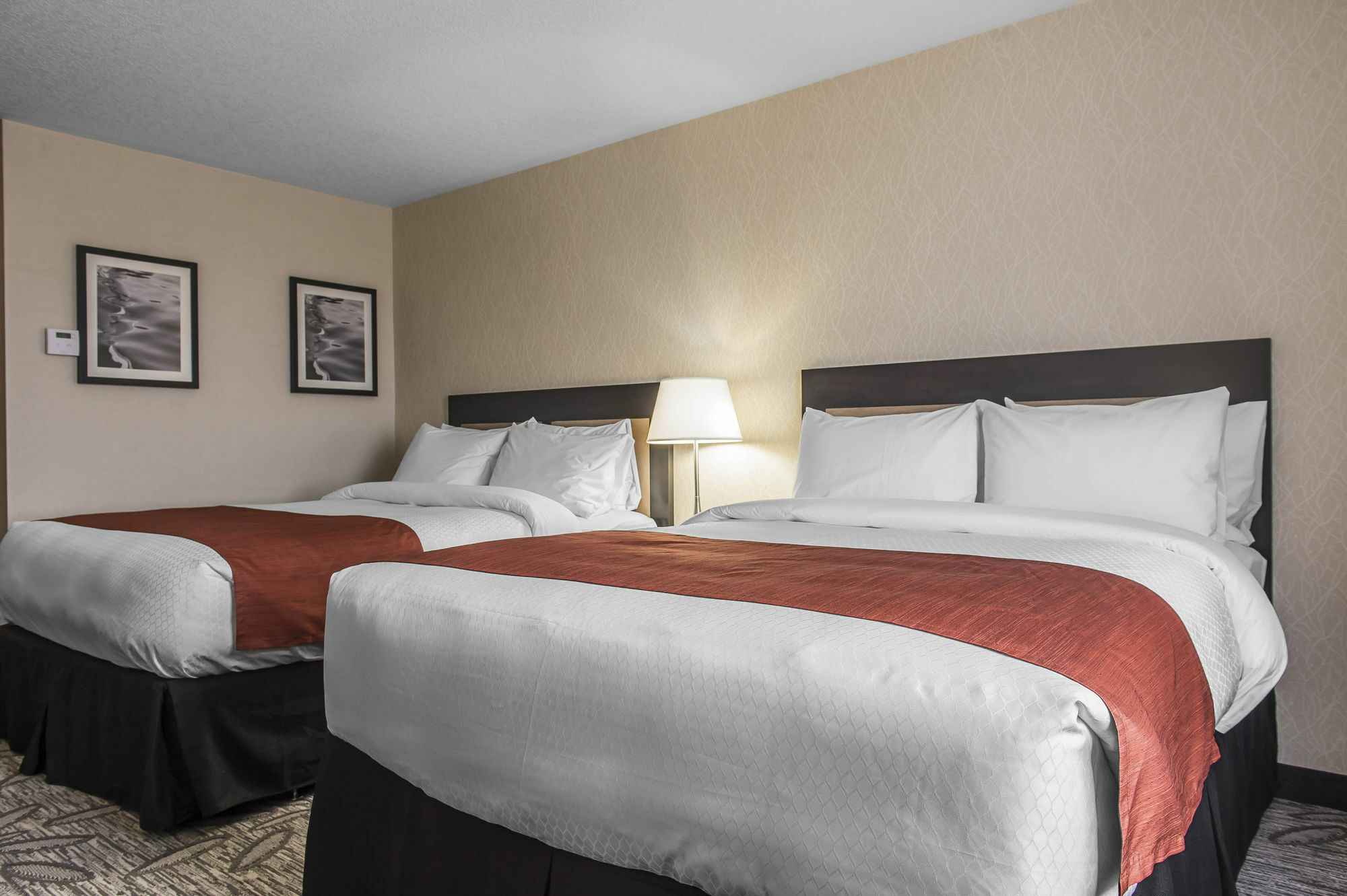 Quality Inn & Suites Kingston Exterior foto